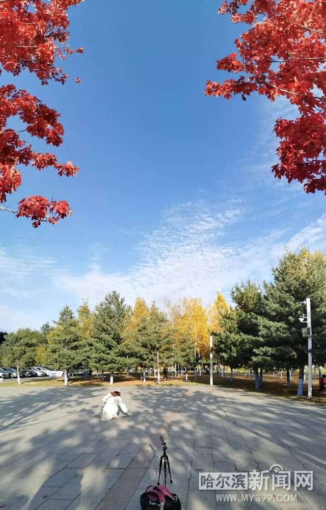 情史 五、情史又岂在朝朝暮暮