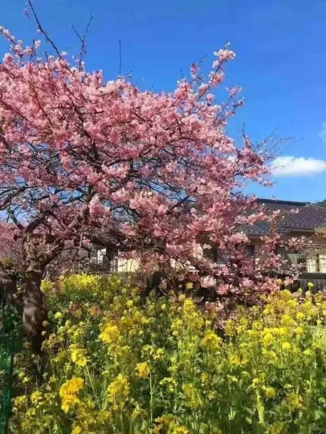 高辣小说下载 我们同时下载的高辣