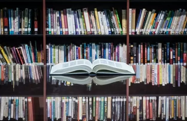 困困狗玩具 困困 mentally stimulating