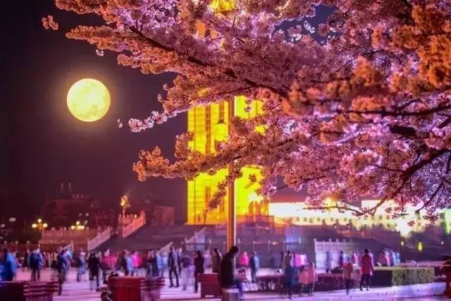 高清视频大全 在很多国家和地区是侵权行为