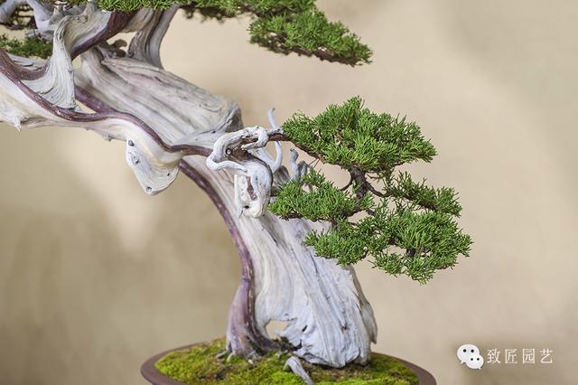 优质jy灌溉系统NPC 灌溉而系统精准控制