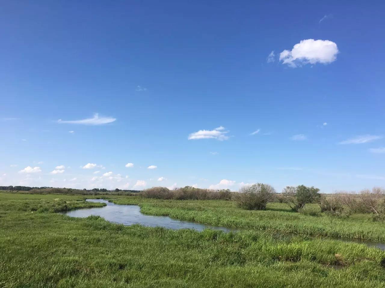 戴眼镜拉远反倒