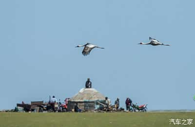 优质R棒攻略系统PO 系统比如R棒突然不工作了