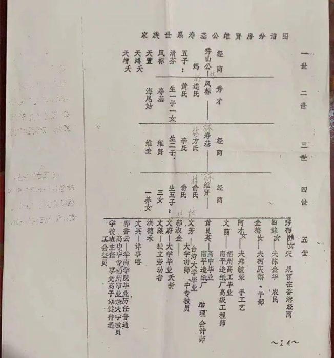 国内精品久久波多野结衣 精品久久还在继续书写