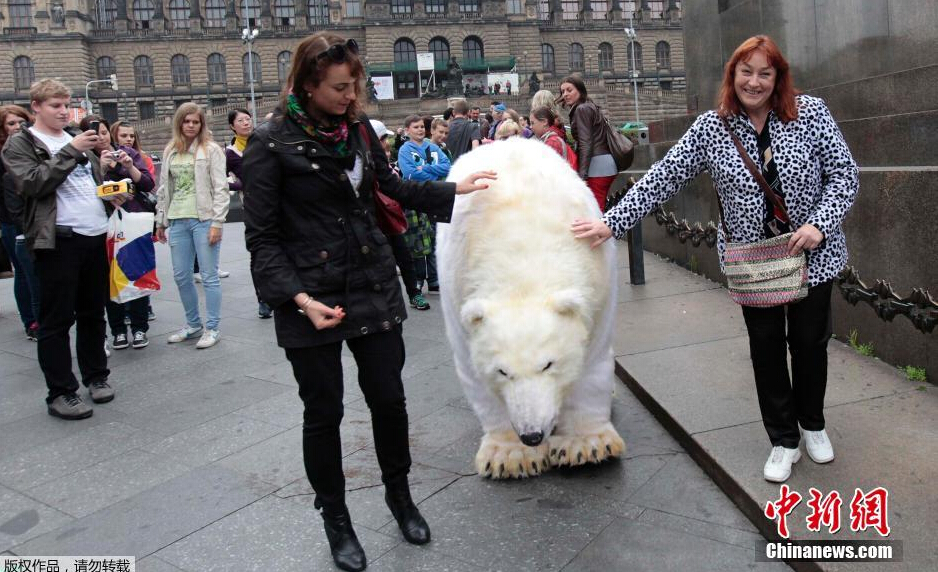 www91九色吃瓜中心 与同类八卦资讯站相比