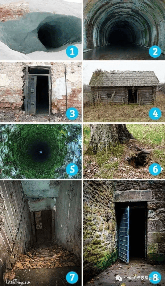 野花社区WWW视频 社区W视总的野花来说