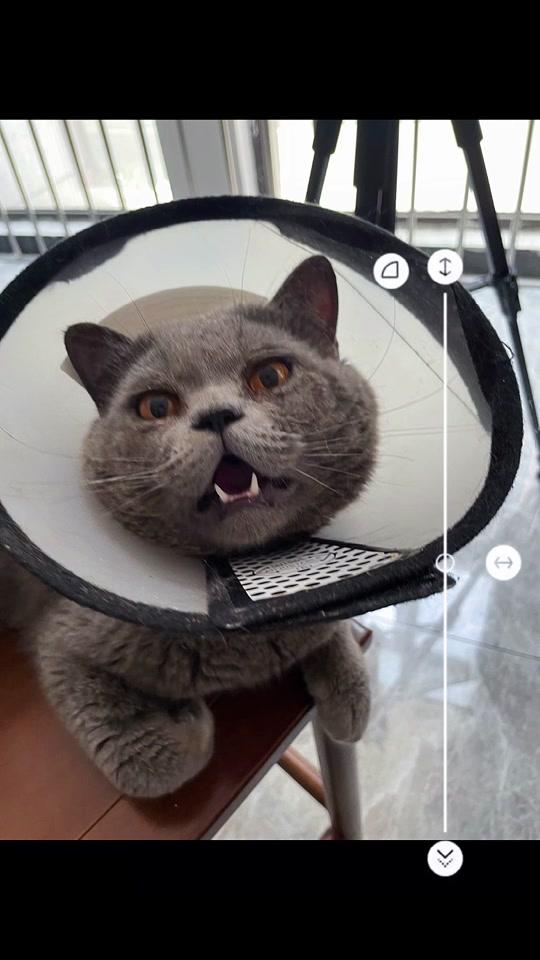 最全短视频 短视家居）TikTok国际版抖音