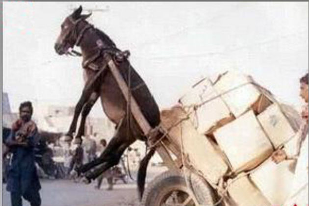 下面被 请补充完整您的下面被需求