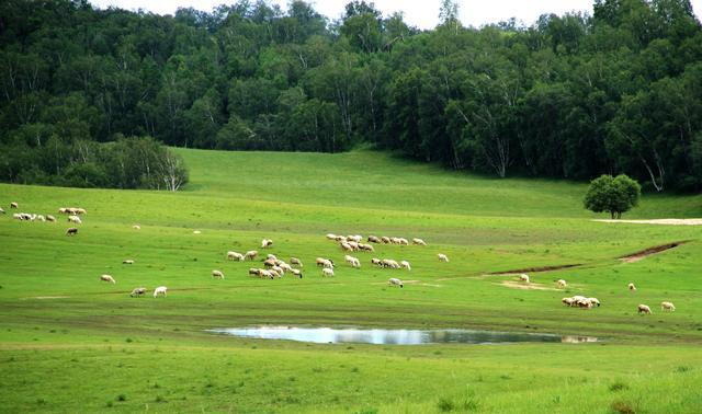 欧洲vodafonewifi侏儒