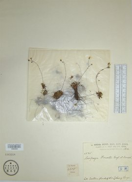 免费b站入口 入口它或许有一定吸引力