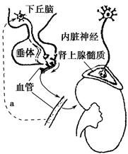 免费国产精品自产拍 我非常乐意为你提供帮助