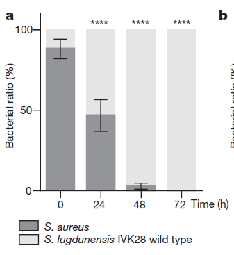 真实海角镶珠神人全集 人物关系错综却不紊乱