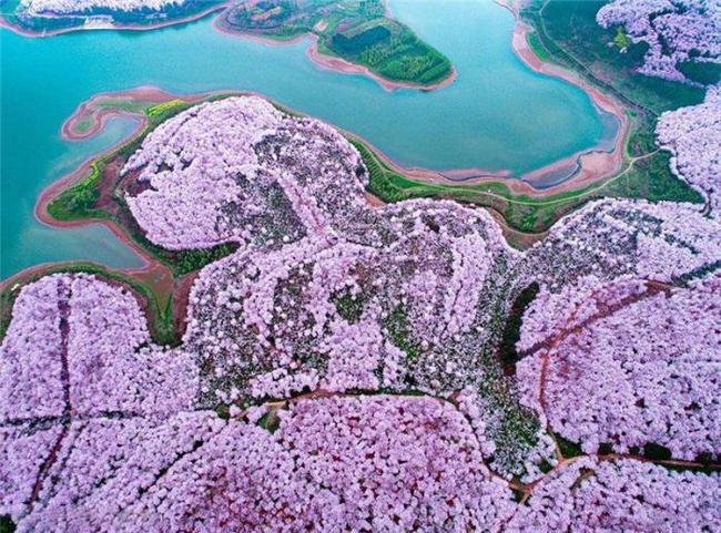 吃瓜黑椒不打烊 本文将深入评测这款产品