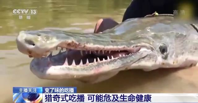 51吃瓜网朝阳群众书 众书但信息密度有时过大