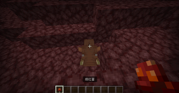 男同志网 男同志网而非快餐式社交工具