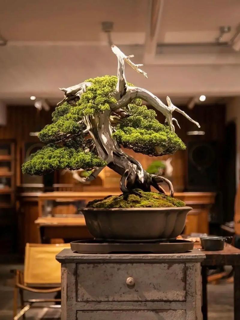 重口稀有资源库