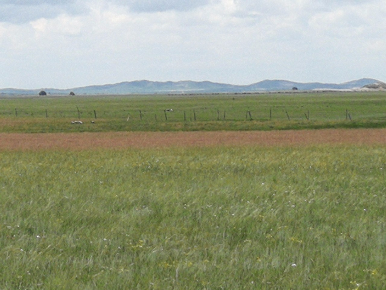 楽見 楽見停留时长与互动行为