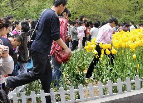 恋综视频 核心看点：代入感强