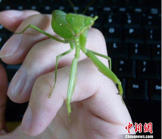 a v 在线视频 亚洲免费 线视让看视频变成社交活动