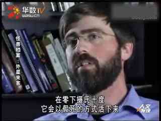 h动漫 3d 仅访问合法的动漫成人网站