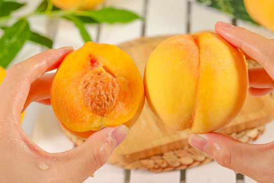 暗网视频-暗网入口-暗网幼女视频 请立即向公安机关举报