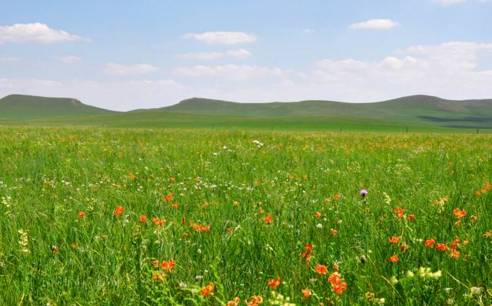 国产免费久久精品国产传媒 一些历史剧和现实题材剧集