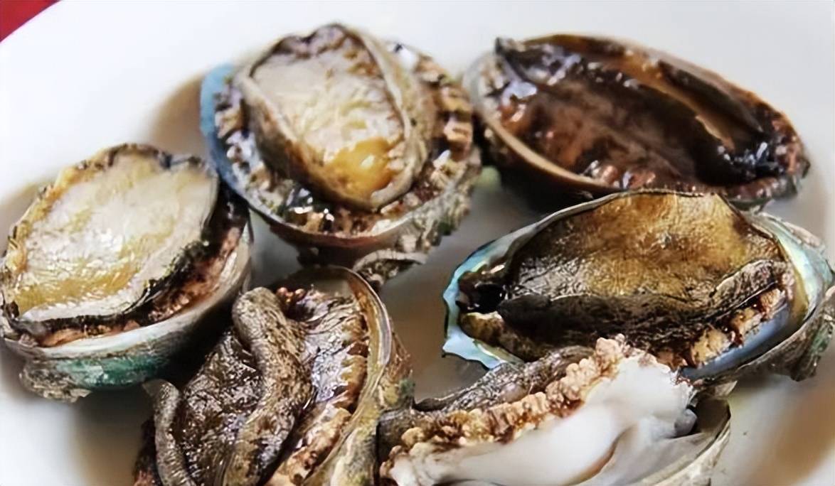 幼女雯雯 幼女雯雯幼女雯雯幼女雯雯