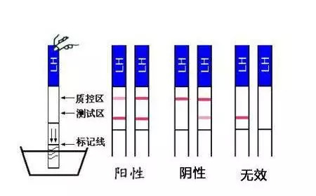 清晰不卡 清晰可能是清晰软件优化问题
