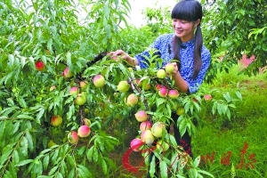 未成年少女 nsfw