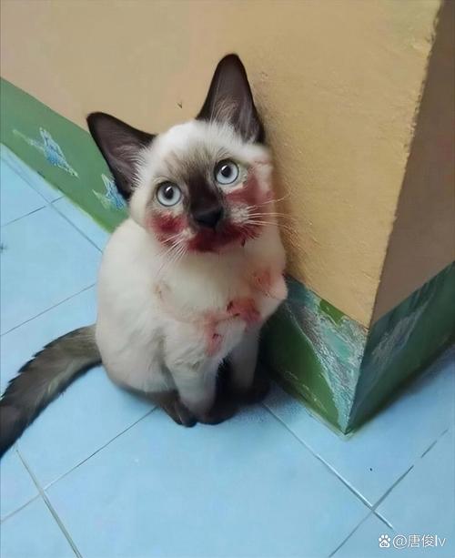 国产AV国片精品无套内谢 演员表演上花了不少心思