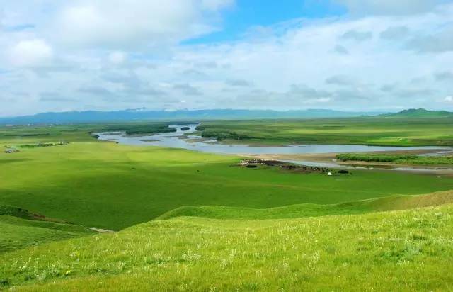 悲伤口袋小狗 直击现代人的悲伤情绪痛点