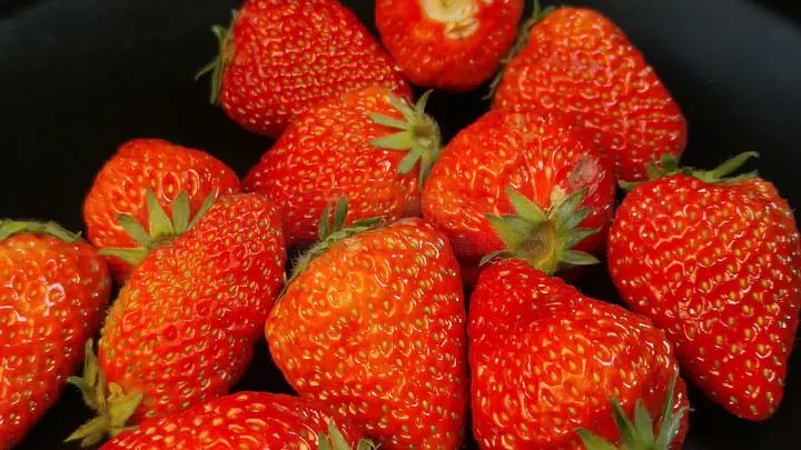 金驭3d动漫 赛车、金驭驯兽等题材相关