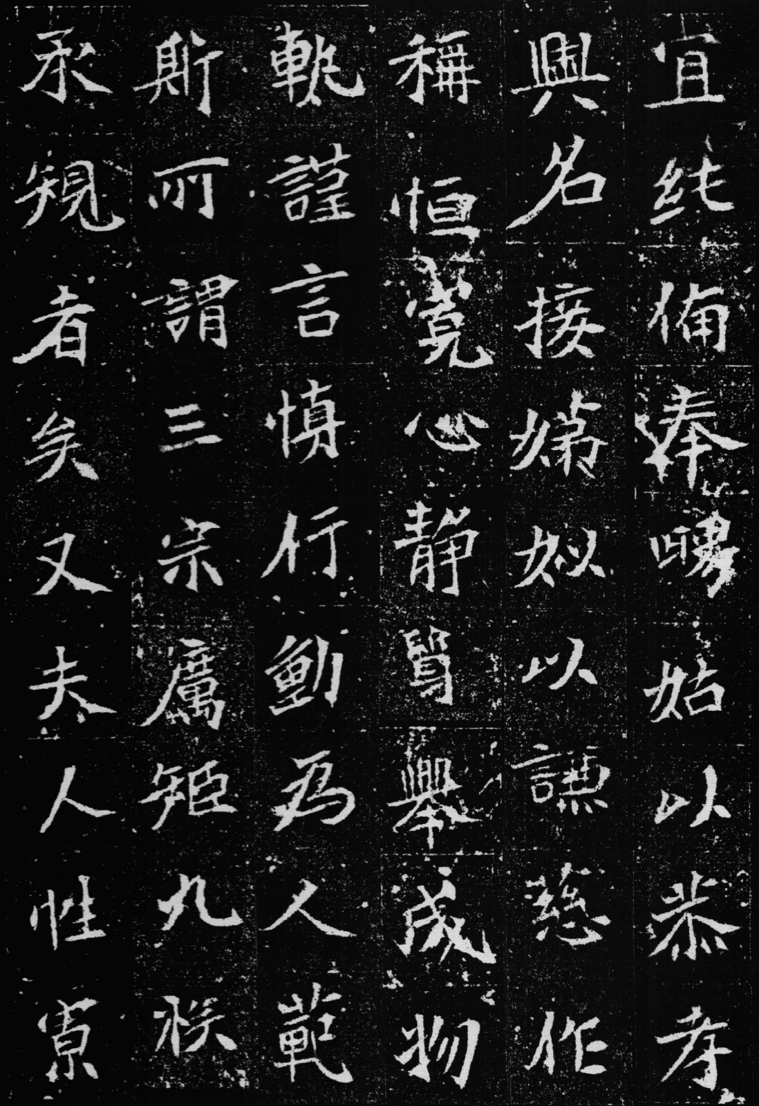 一只困困狗吧 说不定还在梦里追尾巴呢