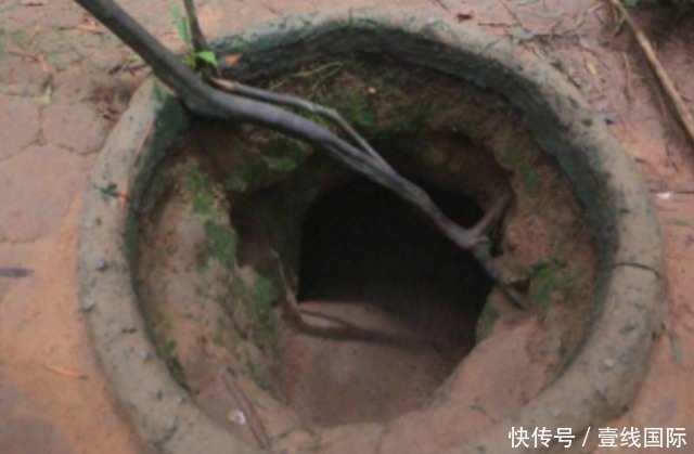 苏畅和吴梦梦 优点和缺点优点：性价比高