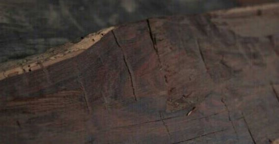 德网幼幼 德网幼幼德网幼幼德网幼幼