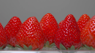 今日看料-美好生活回家路 优点与缺点优点：内容质量高