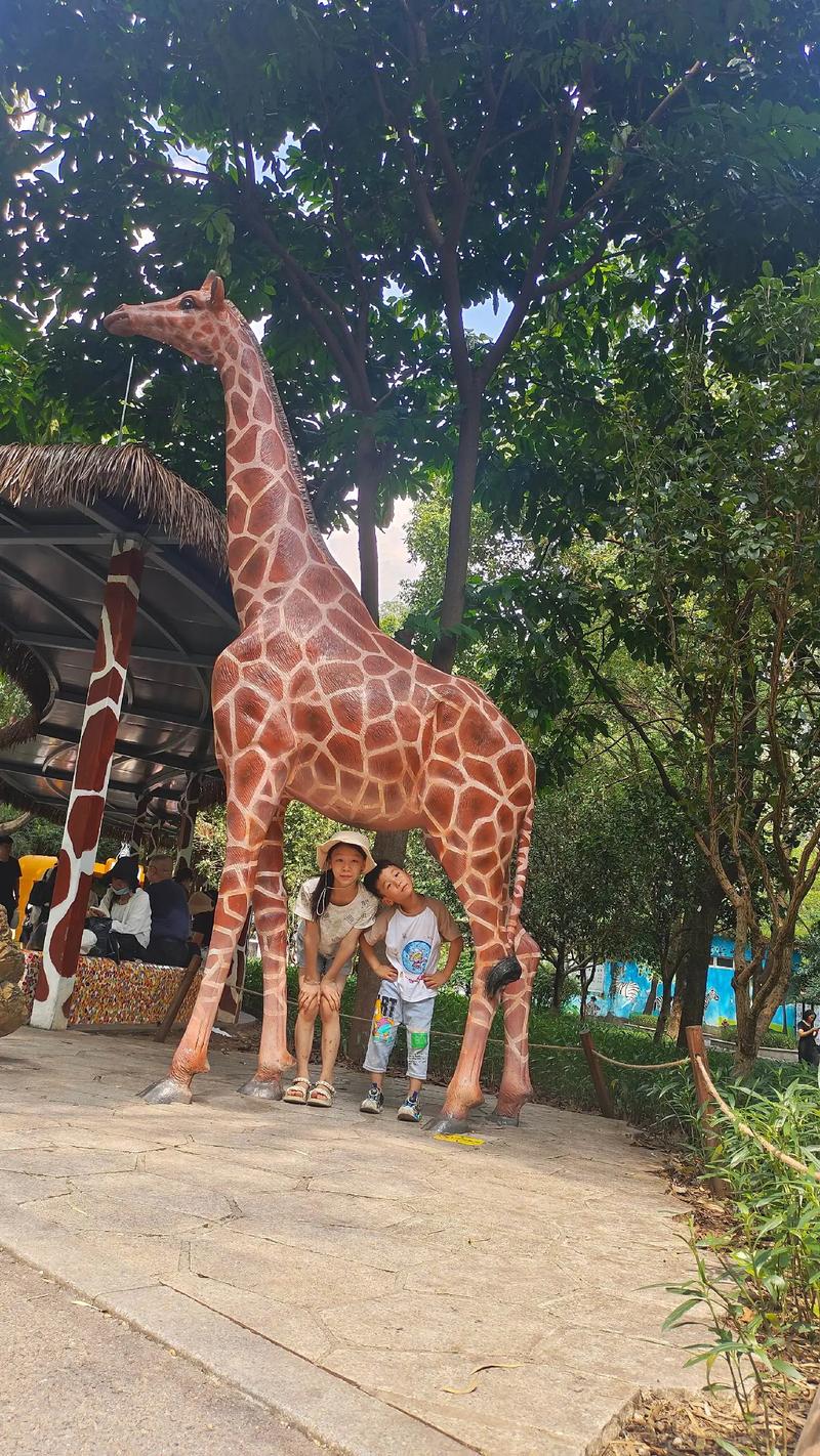 最新精品视频2019在线视频 更是视频社会议题的镜像