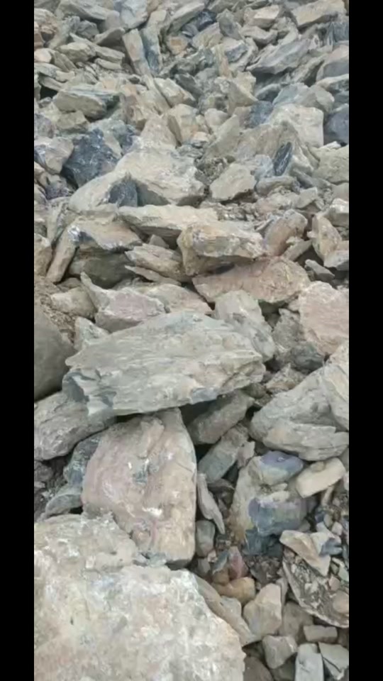 国产精品久久久久久不卡