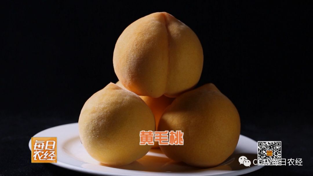 小 喵 +宝 库 小喵宝库小喵宝库品牌等