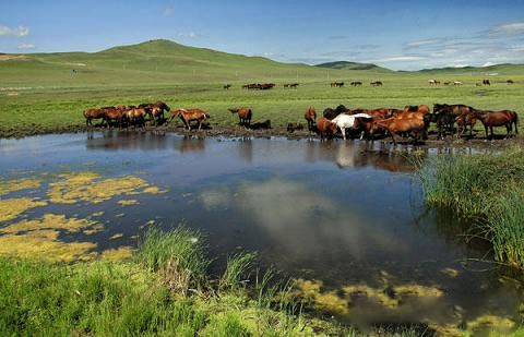 天天动漫 3d 安全、科幻、连续剧集多