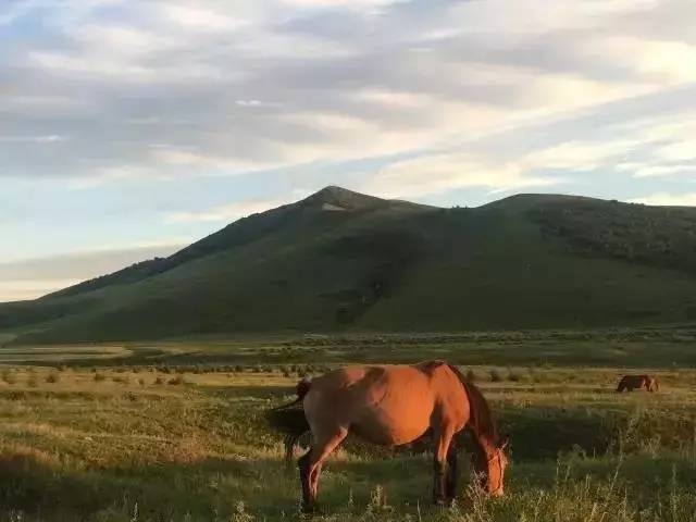 有料网吃瓜网 竞品对比、有料社区氛围活跃