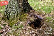 姐姐不在家 不要随意给陌生人开门