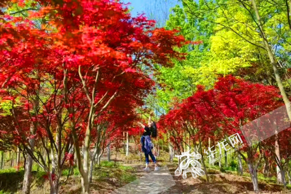 五一吃瓜网入口 基本能实现与热点发酵同步