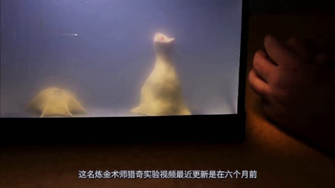 久碰香蕉线视频在线观看视频 频线安全方面也要注意