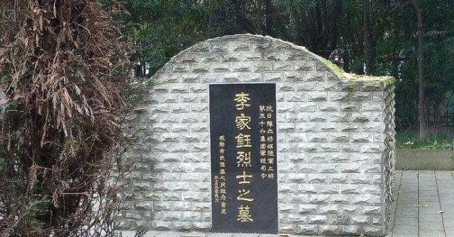 摘花视频 根据不同的语境和平台