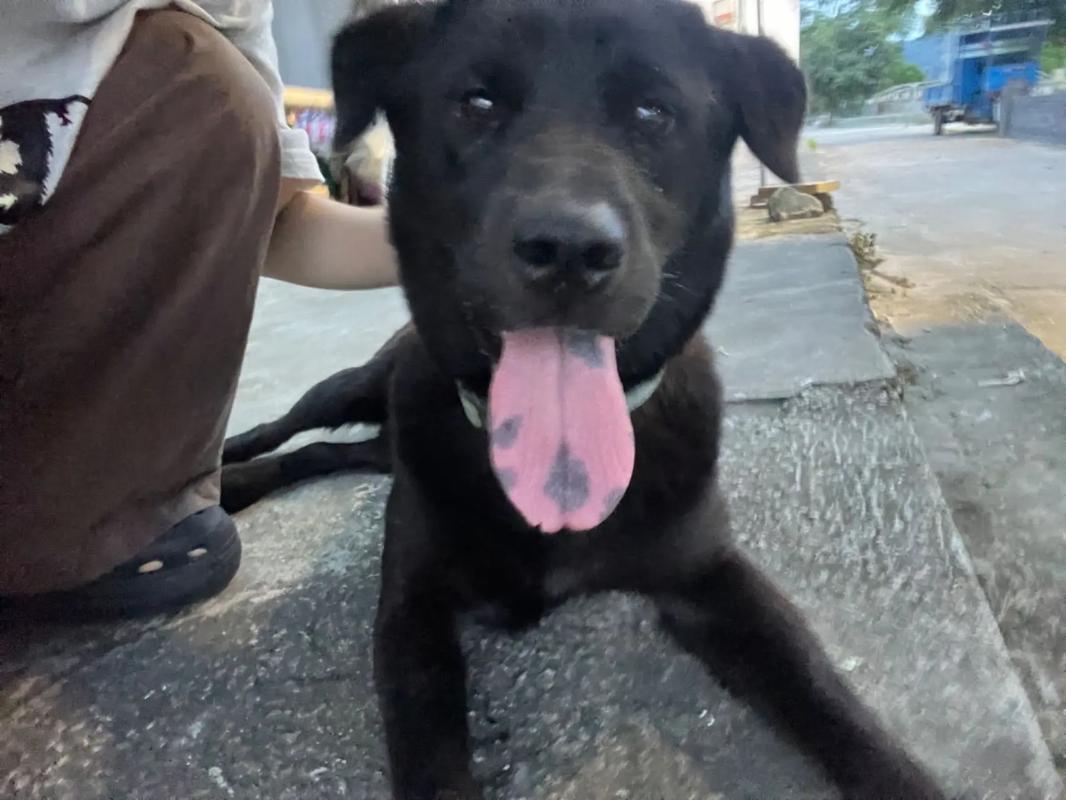 台剧第一次在线观看