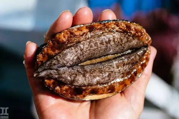 里番日漫 希望您能理解以上说明