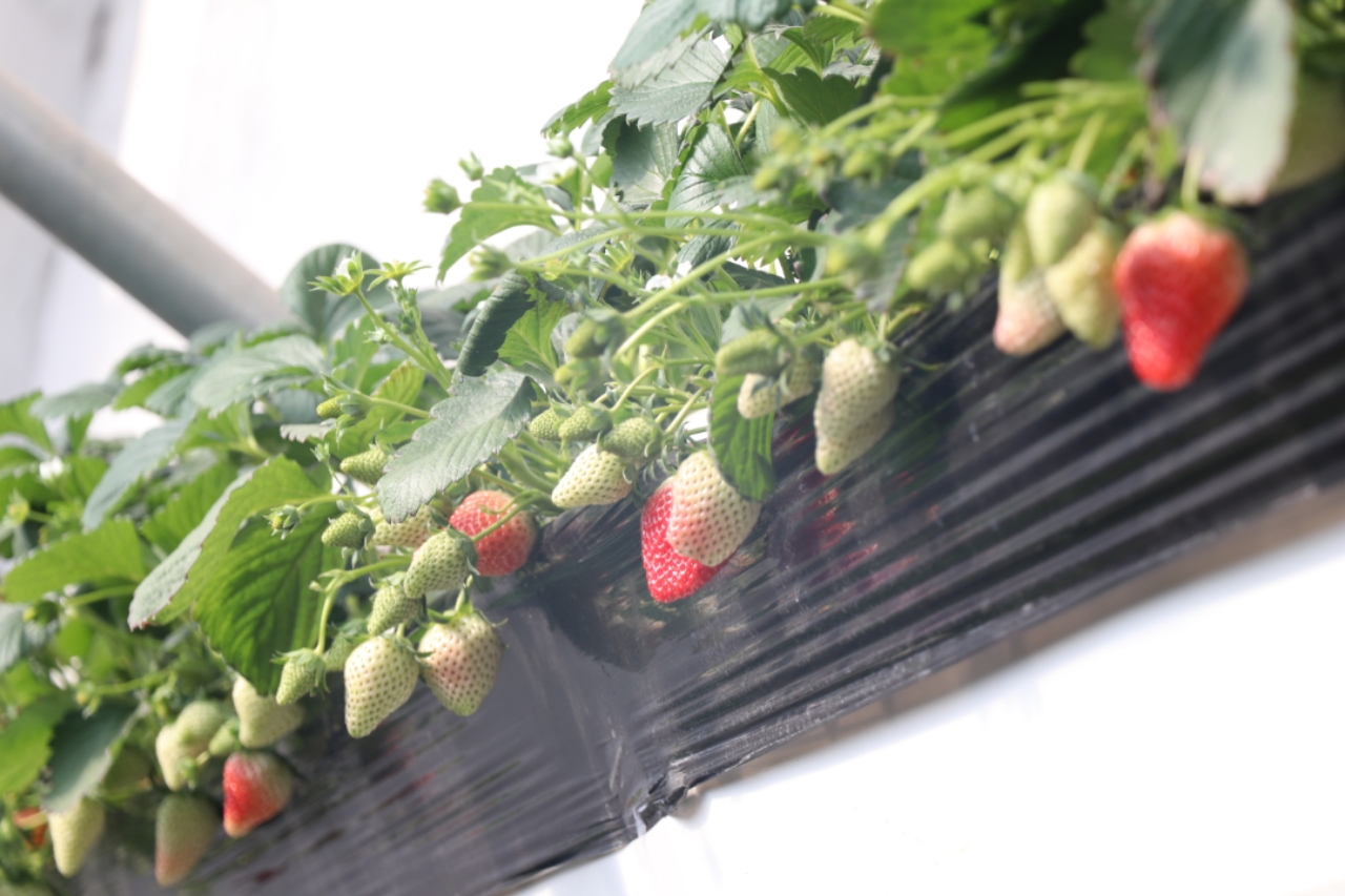 偷拍幼幼２小时