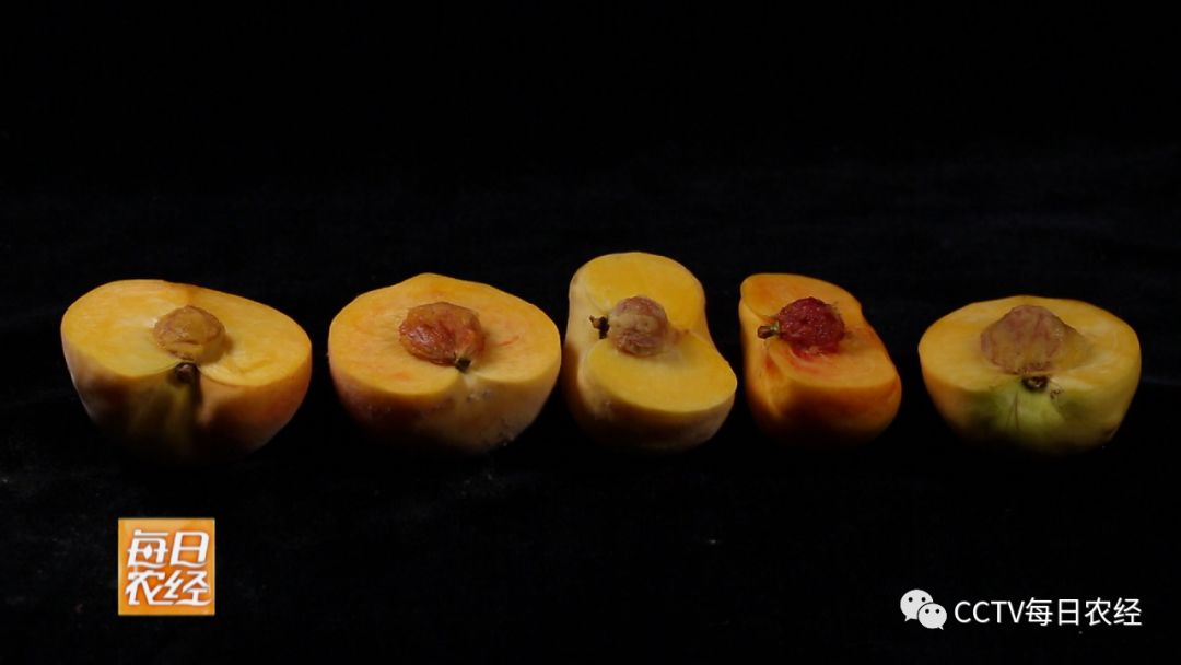 精品国产一区AV天美传媒 摄影灯光、美传媒首先