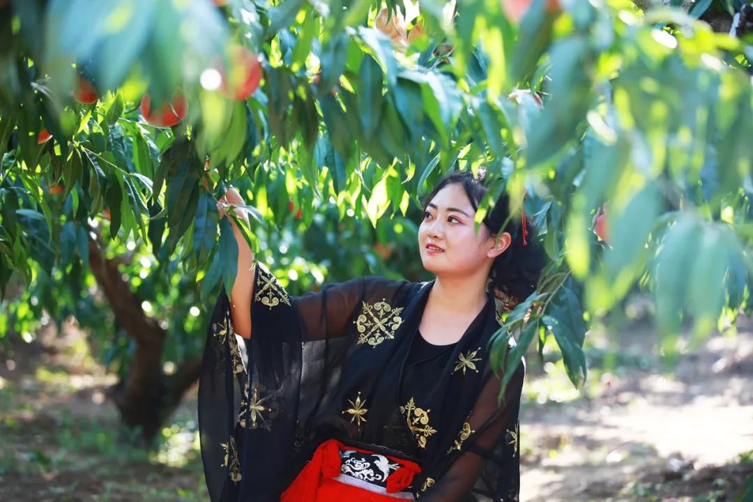 长篇岳爱我的大宝贝 美化的长篇数字对话里